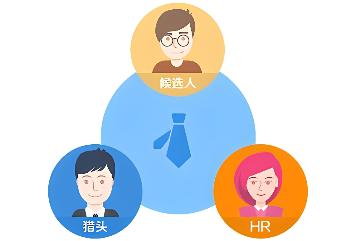 美业猎头公司的服务流程-人才定制-678美业人才网